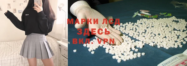 стаф Покровск