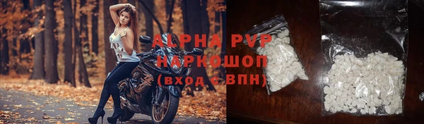 прущие крисы Покачи
