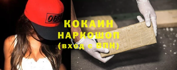 соль ск Ветлуга