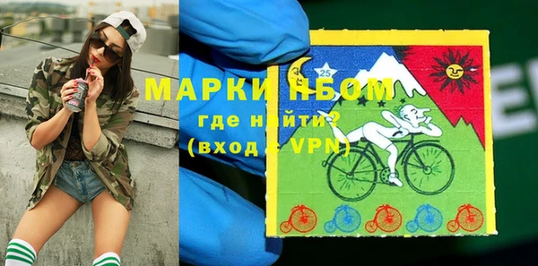 стаф Покровск