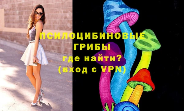 стаф Покровск