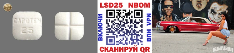 ЛСД экстази ecstasy  мега ONION  Ардатов 