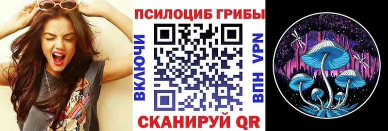 Псилоцибиновые грибы прущие грибы  Ардатов 